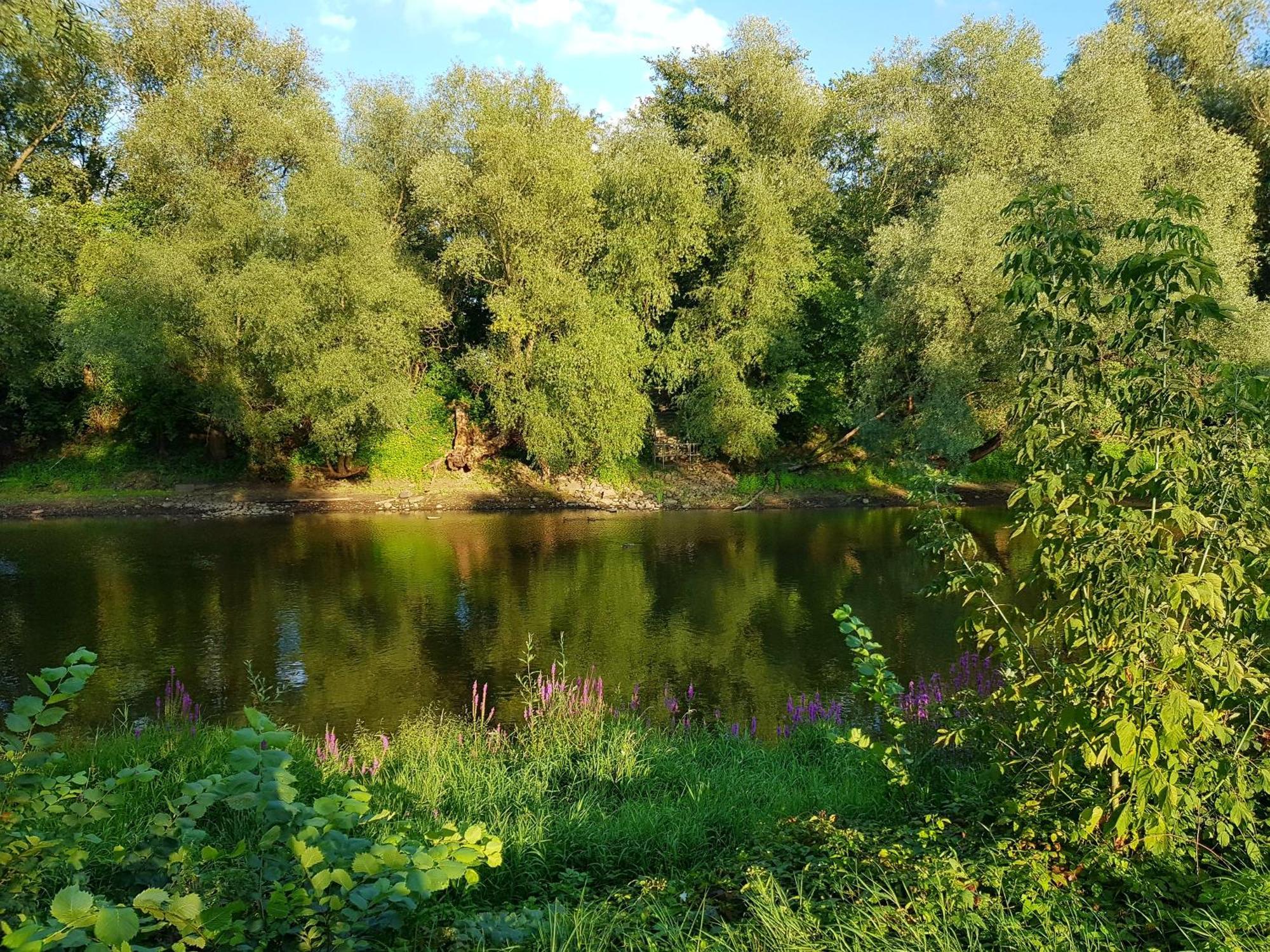 (פרנקפורט (אודר Viadrina Rooms & Apartments Frankfurt-Oder Am Park Im Zentrum מראה חיצוני תמונה
