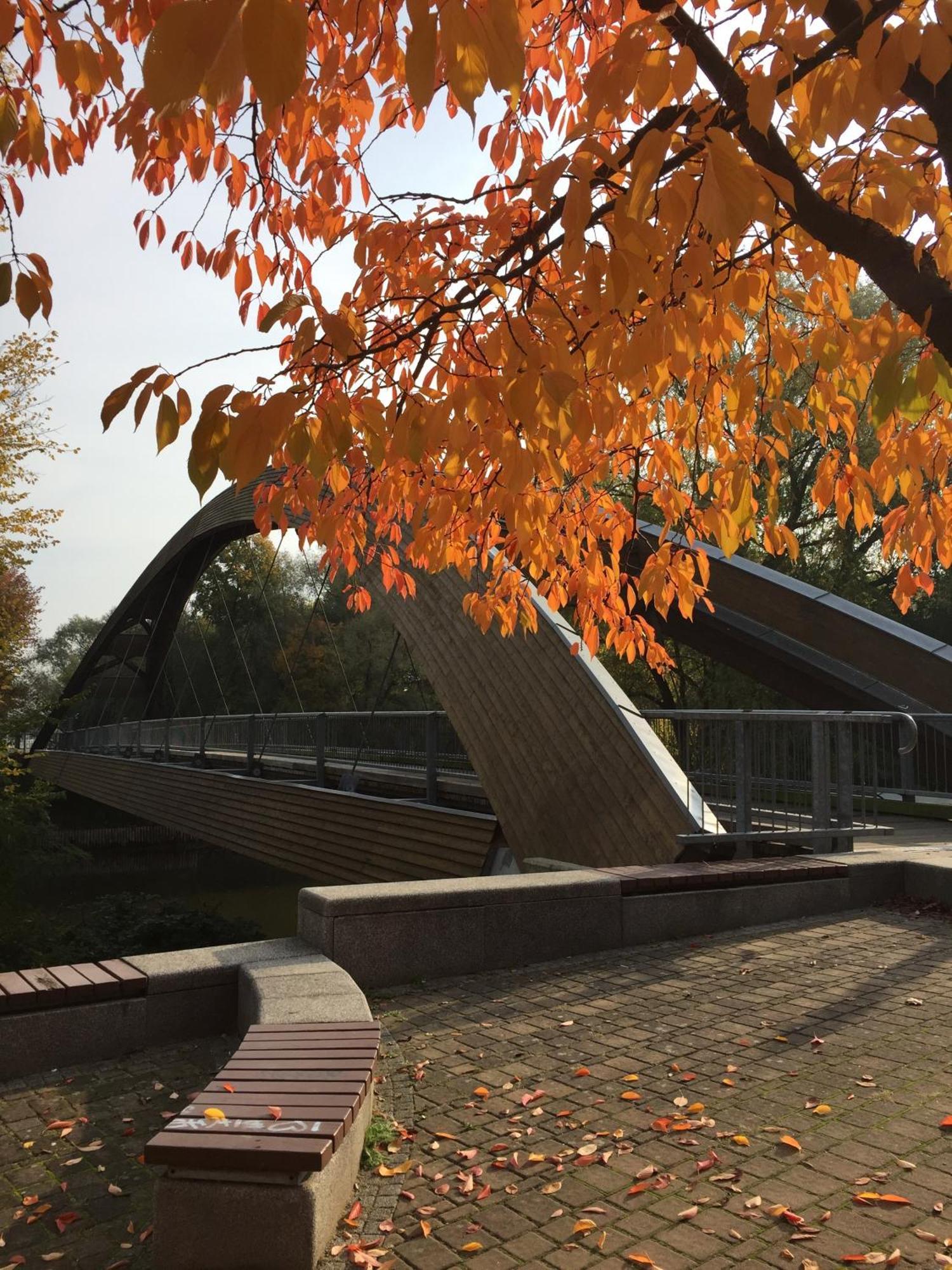 (פרנקפורט (אודר Viadrina Rooms & Apartments Frankfurt-Oder Am Park Im Zentrum מראה חיצוני תמונה